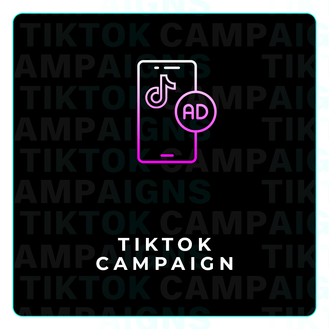 tiktok Campaign-min