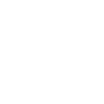 decathlon copy