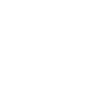 puma copy (2)