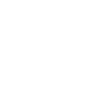 vivo copy (1)-copy-0